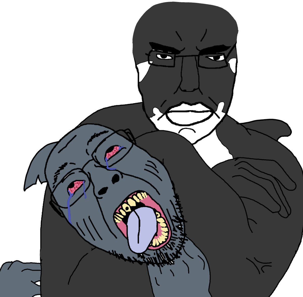 eccorca 🐬 tweet media