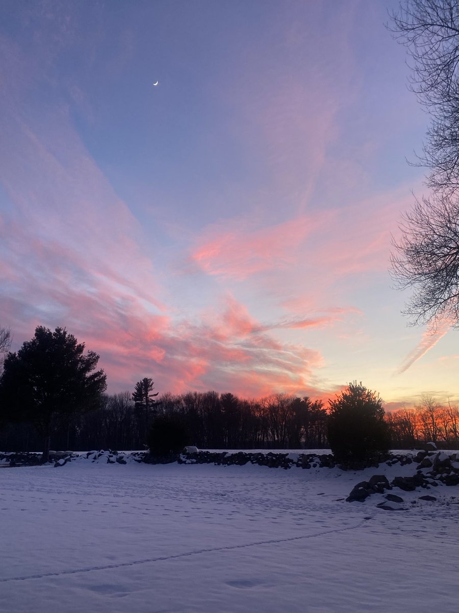 JuliaGrantham2's tweet photo. A beautiful right-now picture with a small white moon in the sky 💜
Sending love to all of you, my wonderful friends 🌟 https://t.co/sUMim9xKiS