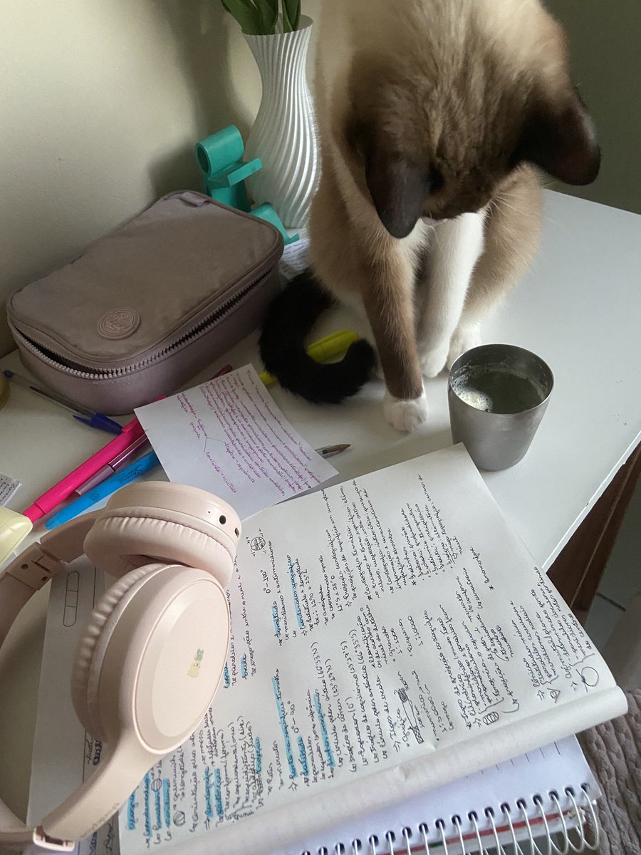 studydoris's tweet image. dia 8! boa noite gentee