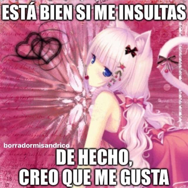 ydcwim_'s tweet image. 