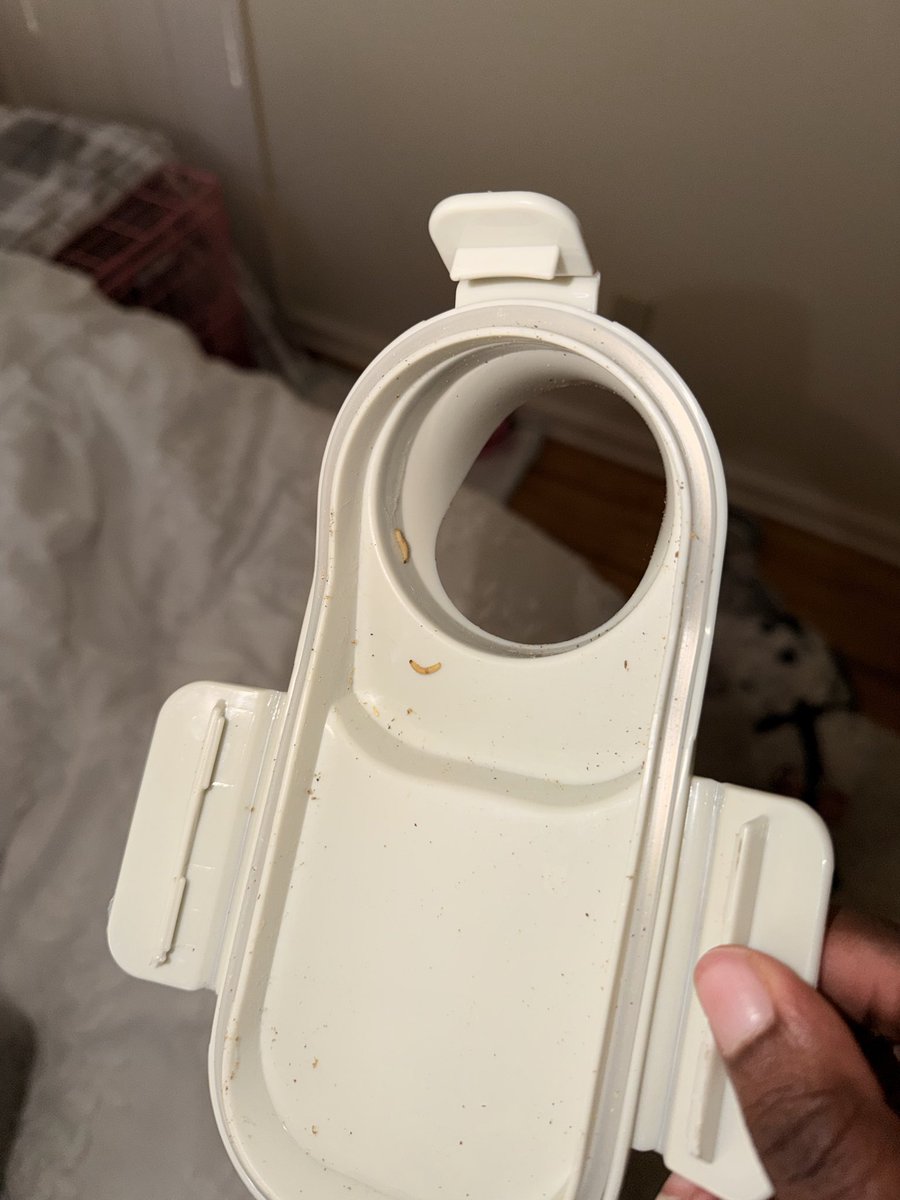 jay 🐻 tweet media