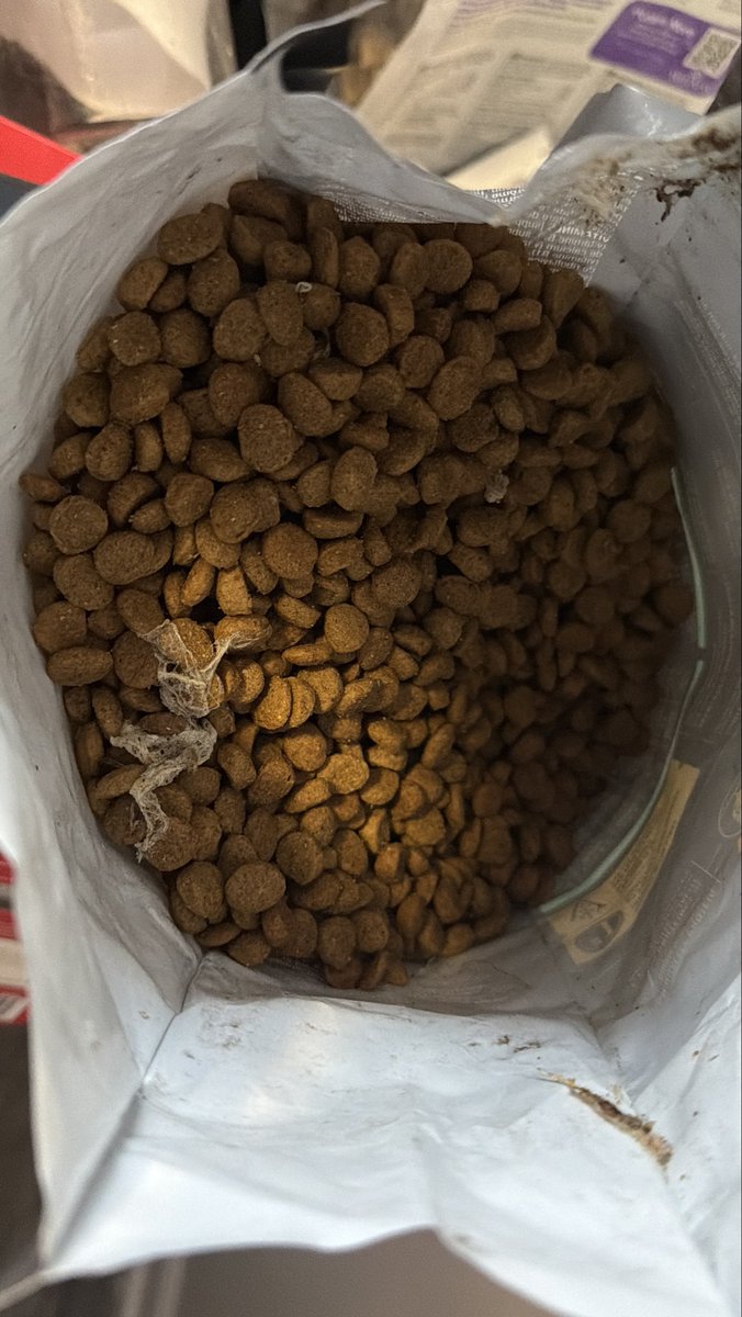 jay 🐻 tweet media