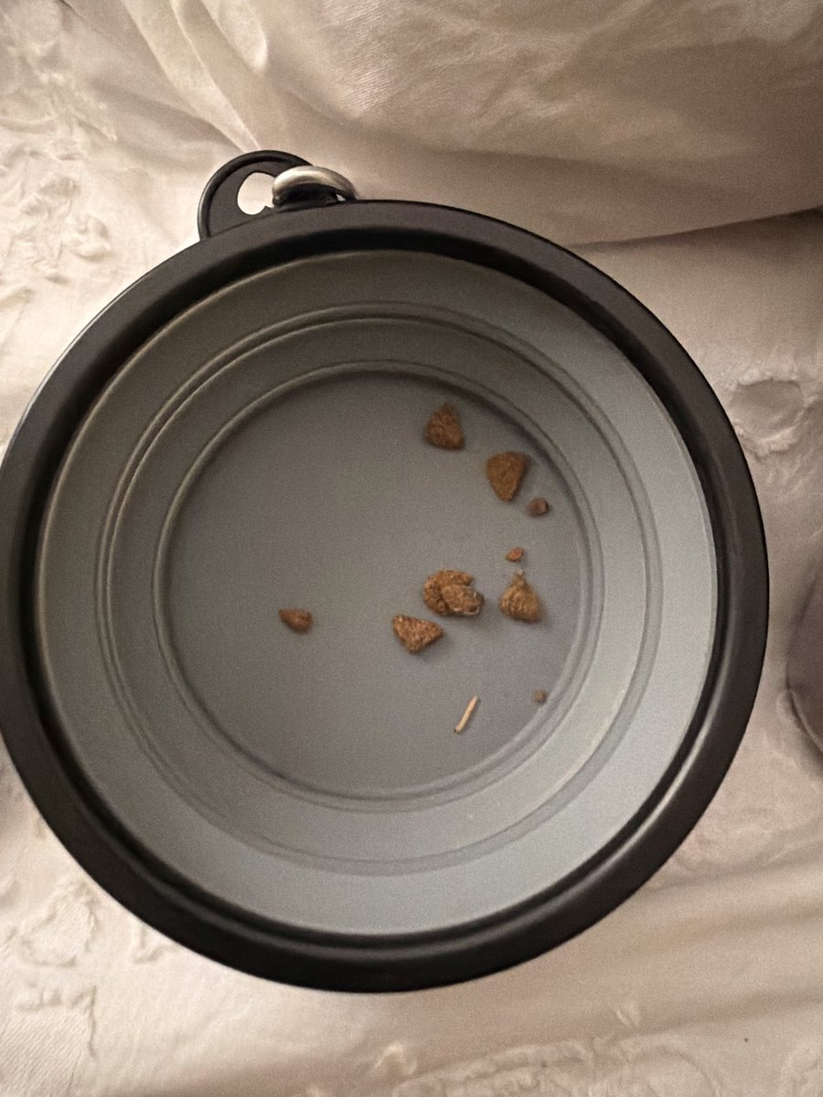 jay 🐻 tweet media