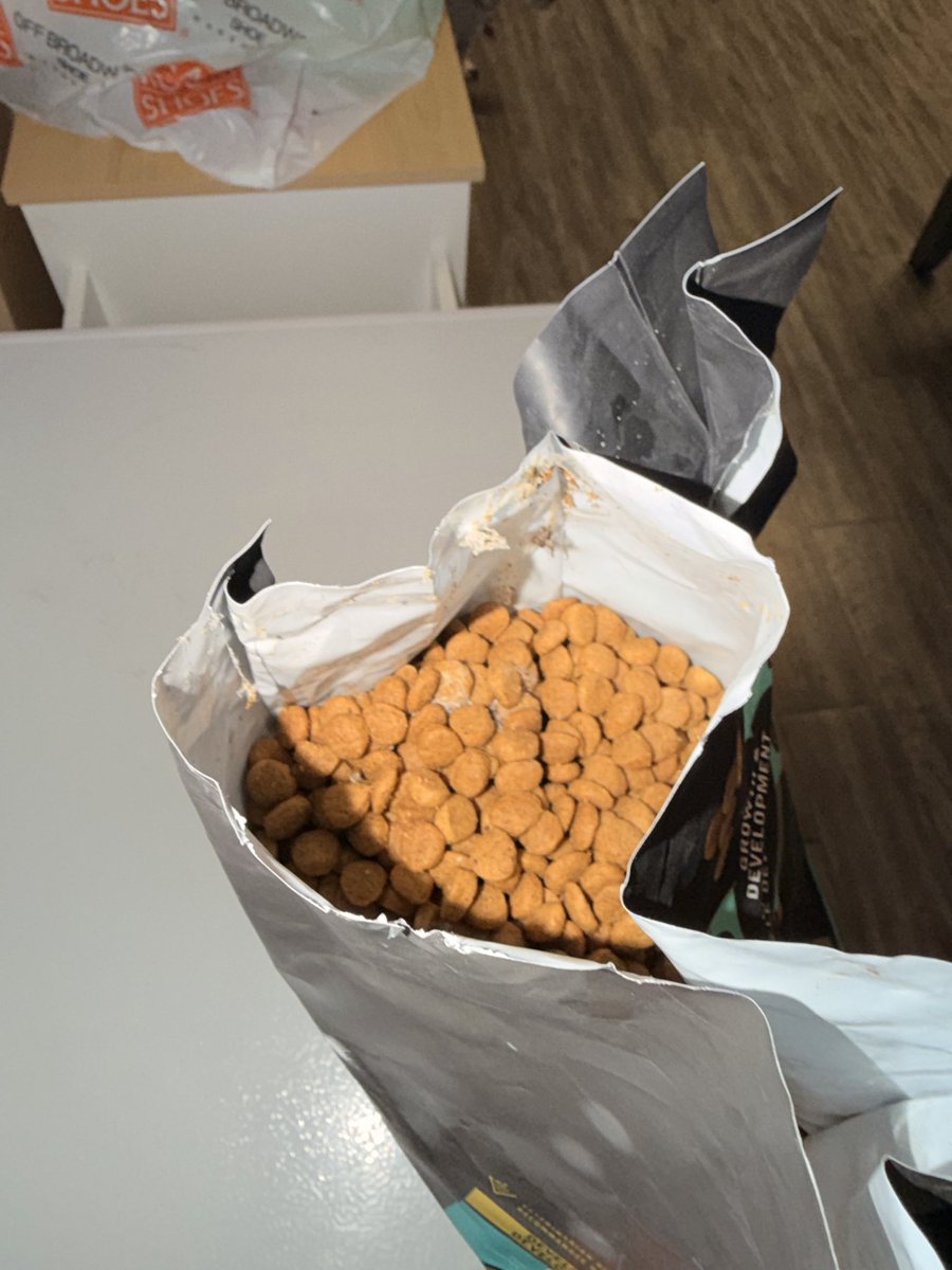 jay 🐻 tweet media