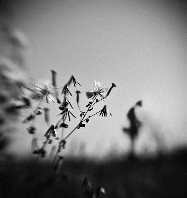 "Cuando el hombre cesa de crear, deja de existir". 
Lord Byron 
📷Hengki Lee