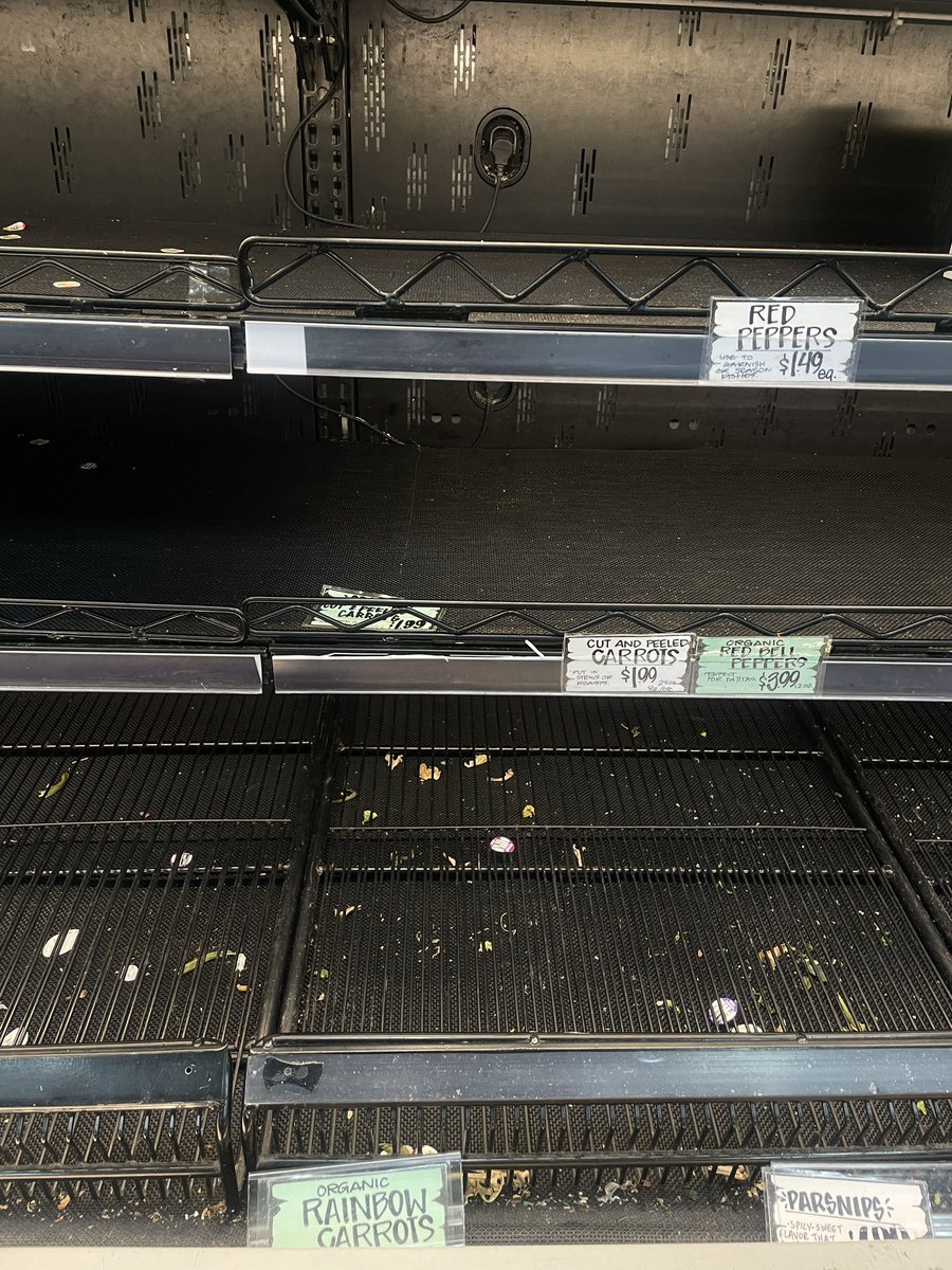 natsfert's tweet photo. Capitol Hill Trader Joe’s utterly cleaned out #snowmageddon @capitalweather https://t.co/QRJfw5X9bb