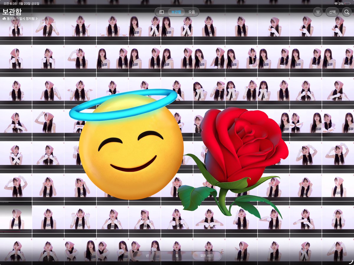 로지ᰔᩚ tweet media