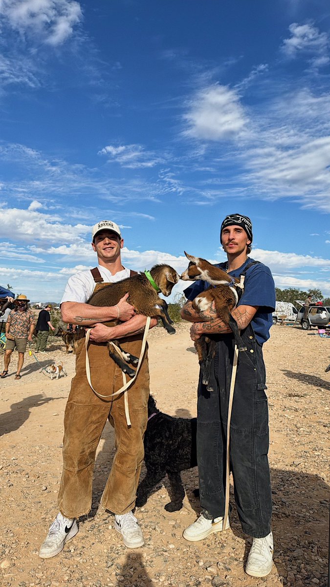 Stachemullet tweet media