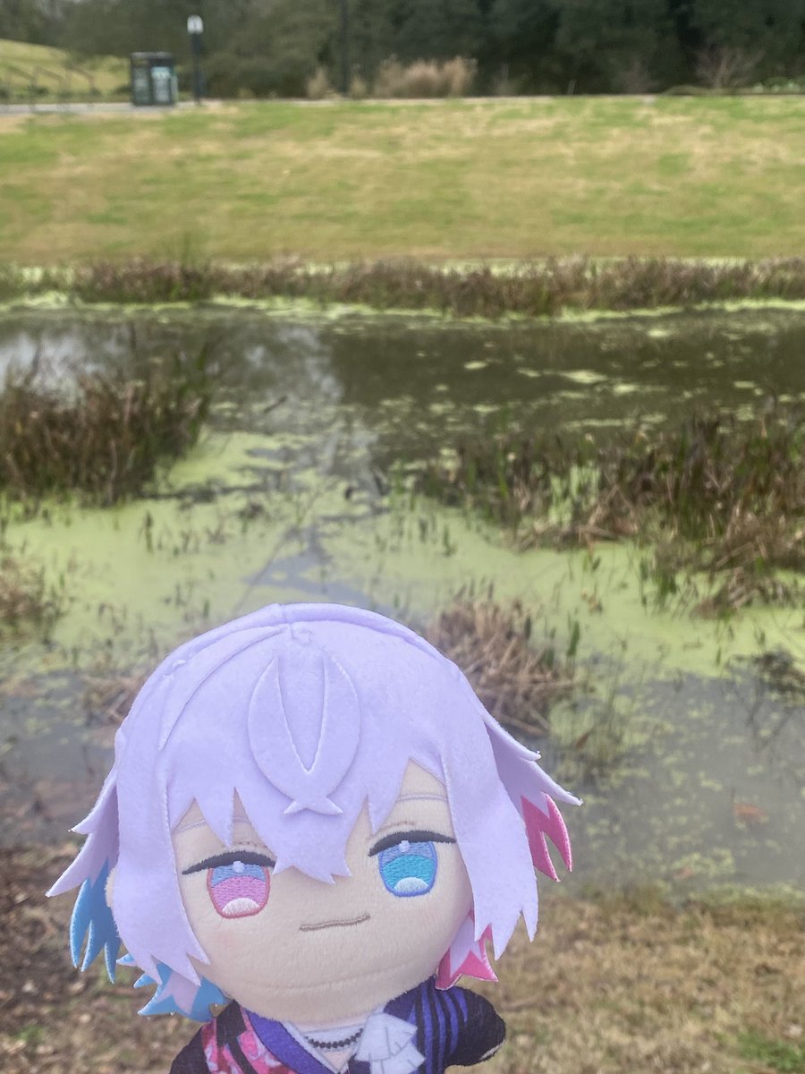 brought him to a swamp pond heheh