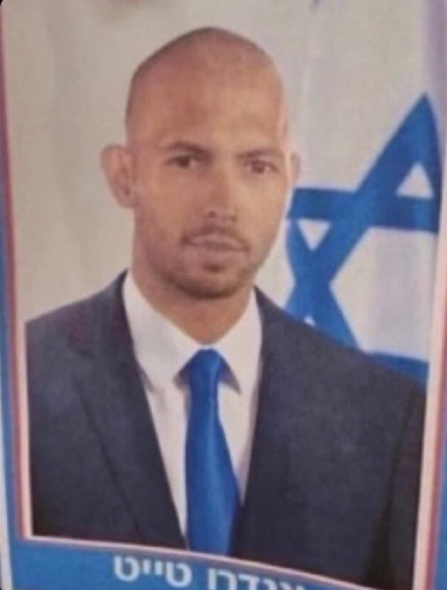 WOLF ✨️ tweet media