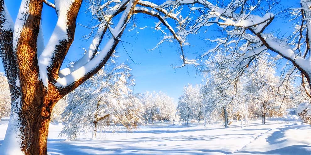 NEW VIDEO 🎥: Pat Porter, w/ <a href="/RecLandRealty/">RecLand Realty</a>, encounters a lot of seasoned investors in his line of work and people that want to get into land investing. Among the many questions that frequently surfaces: Should a land investor get a real estate license? landthink.com/will-a-real-es…