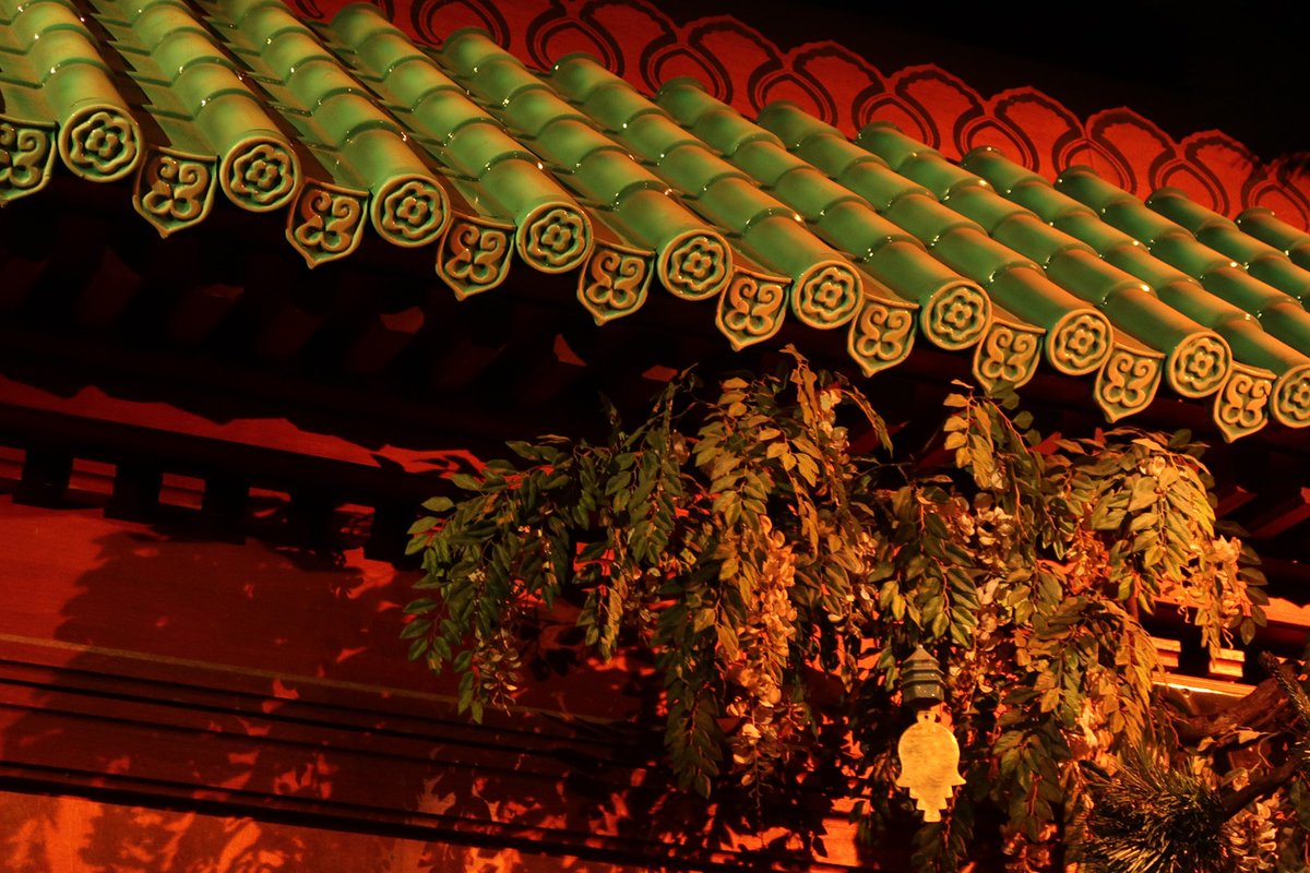 Giertje64 tweet media