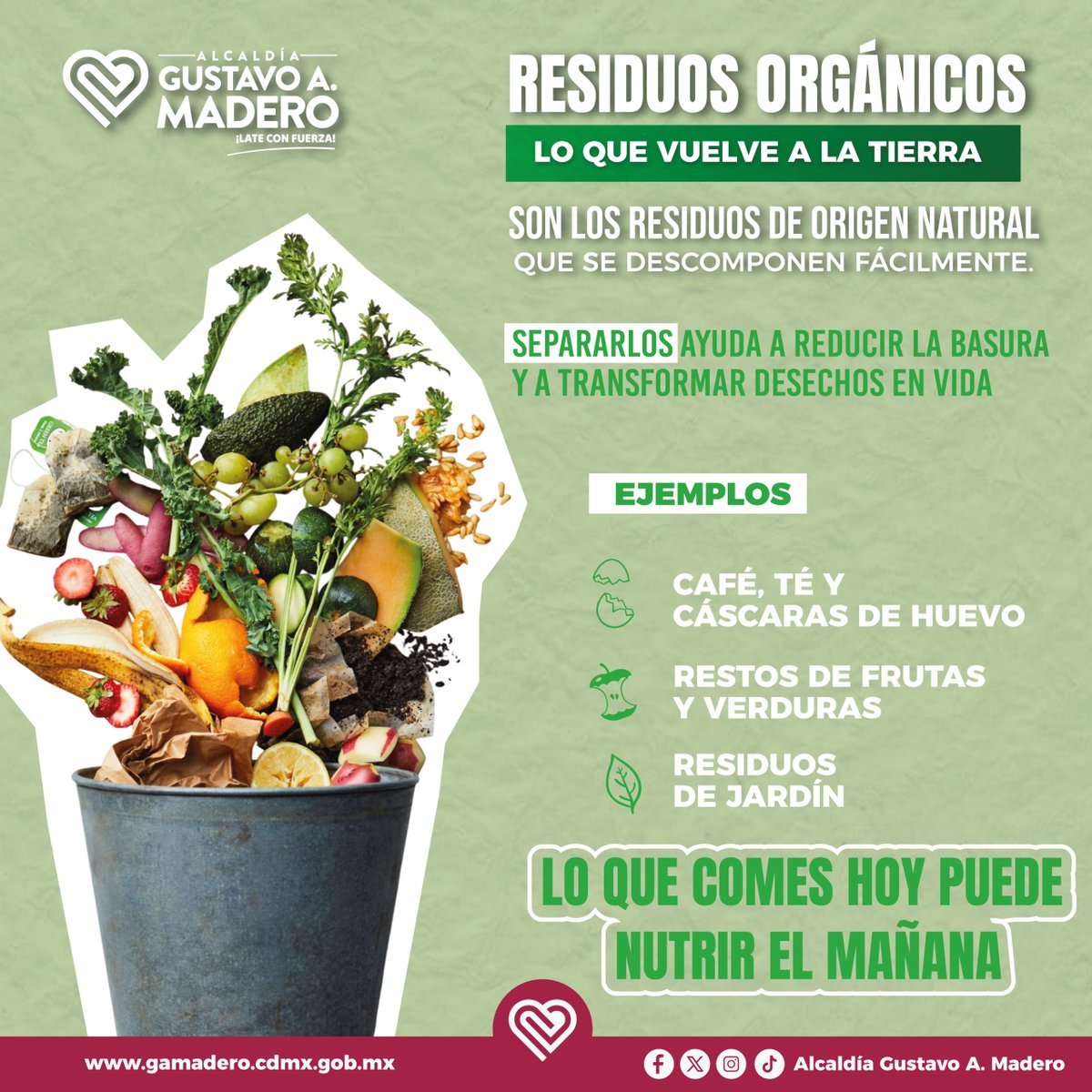 TuAlcaldiaGAM's tweet image. 🌍 ♻️Con pequeños hábitos desde casa ayudamos a reducir residuos, reutilizar materiales y cuidar el planeta.

👉 Si tú ya lo haces, gracias.
👉 Si aún no, hoy es buen día para empezar.

 Separar hoy es pensar en el mañana.

#BasuraCero #TransformaTuCiudad #HábitosQueTransforman