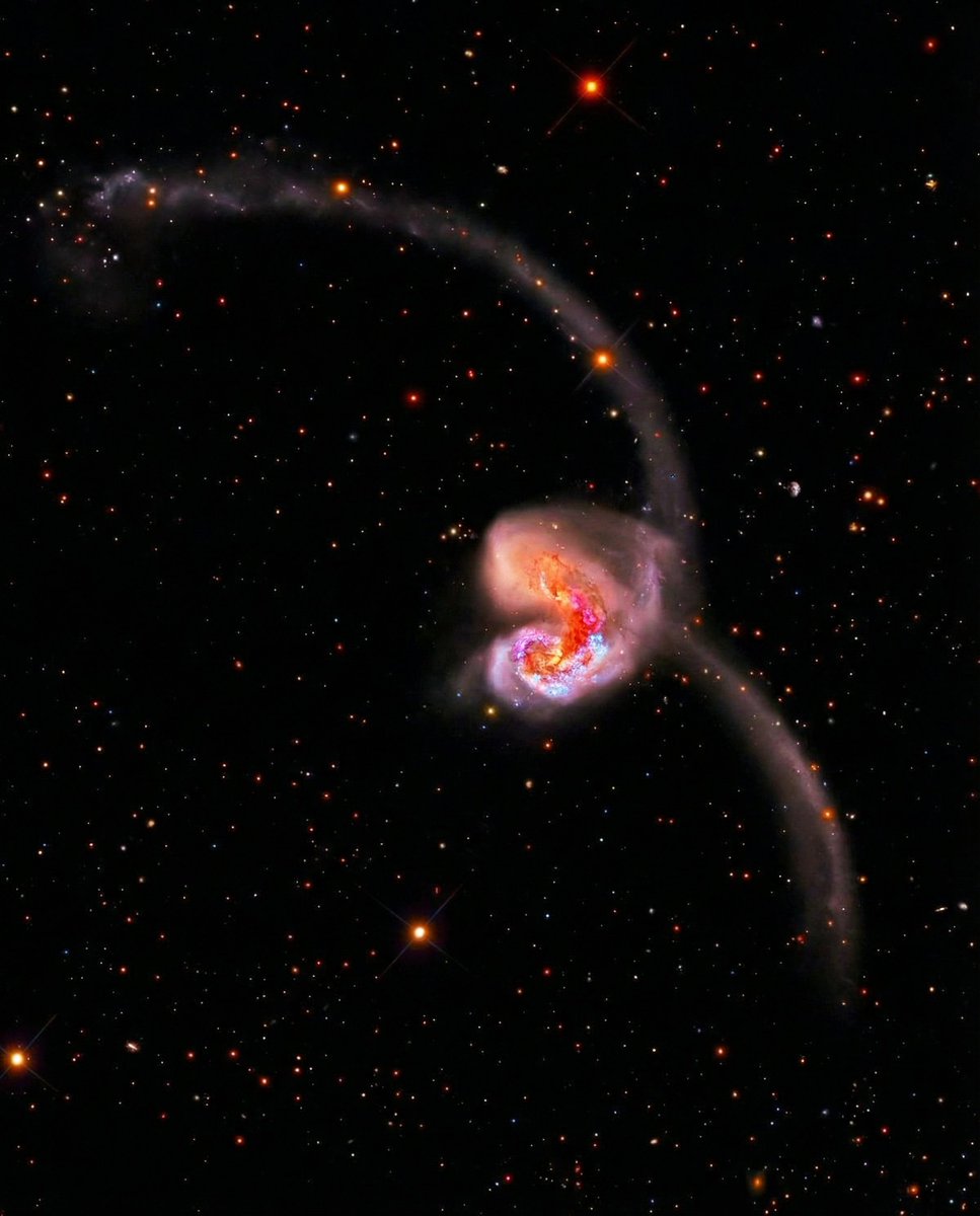 Curiosity tweet media