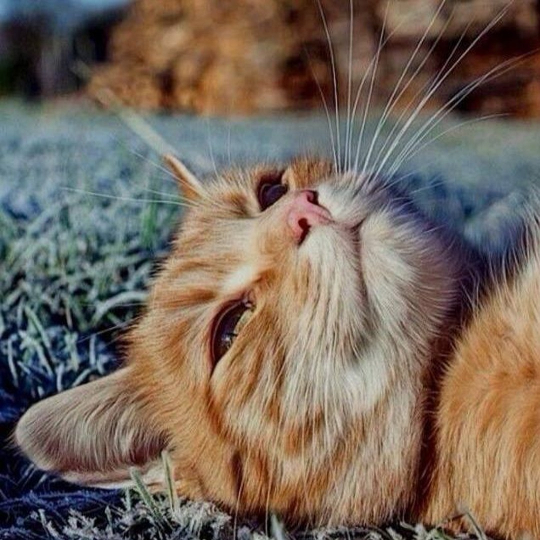 only1zero1's tweet image. What if the reason you haven't found your soul mate is because you have no soul