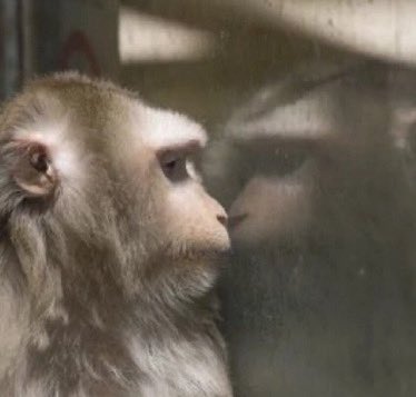 diffqrent's tweet image. se me rompió una cuchara en el jale y me dió pena decirlo entonces voy a tener que agarrar una de mi casa y reponerla