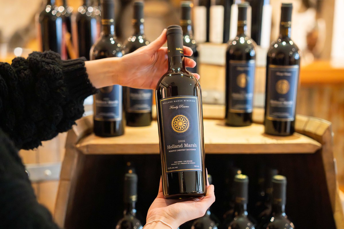 HMwineries's tweet photo. We heard 2026 is the new 2016, and that's a trend we fully support. 🍷One of the best things from that year? Our 2016 Reserve Cabernet Sauvignon.
Stop by the winery and grab a bottle for the perfect blast from the past! 😉

📸 James Ton
#cabernetsauvignon #winelovers #ontariowine https://t.co/wDfy7EHM6y