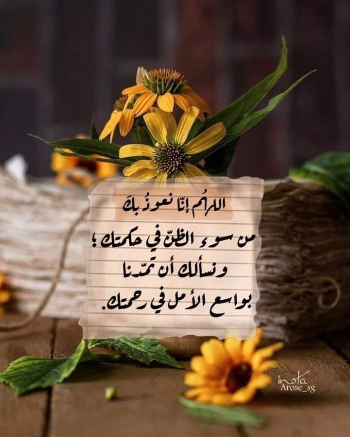*💛🌻ᥫ᭡. ֶָ֢⸰.*

 ﴿ إني لأجدُ ريحَ يوسف ﴾

حين يسكن اليقين قلبك
 تلمح بُشراك قبل أن تصل، وتشعر بقرب الفرج قبل أن تراه . .
فامضِ بإيمانك، فاللـه لا يُخيّب من أحسن الظن به!

#ماجد
طمئن قلبك🌻

<a href="/531_za/">ماجد العنزي ✌بالحب راعي طويله )❌❌❌محظور ❌❌❌❌❌❌❌❌❌❌</a>
