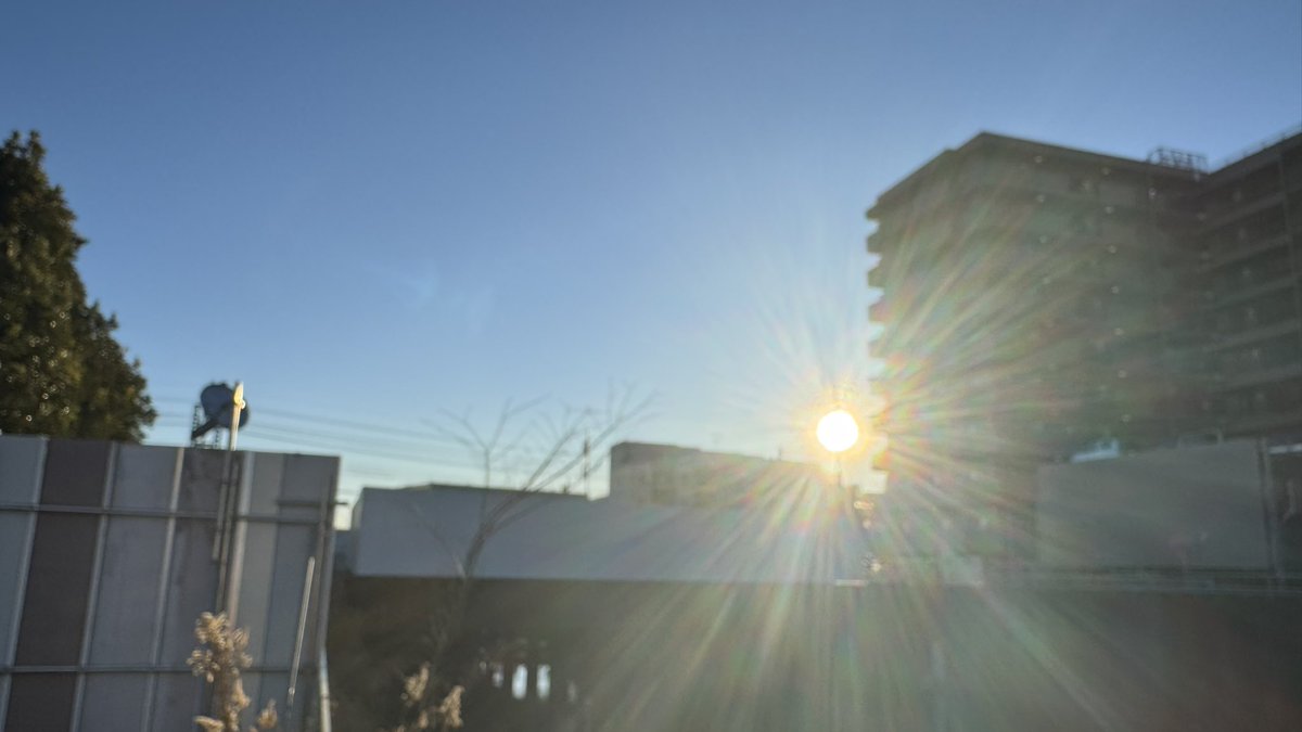 11連勤4日目の朝

陽の光が眩しい。。。