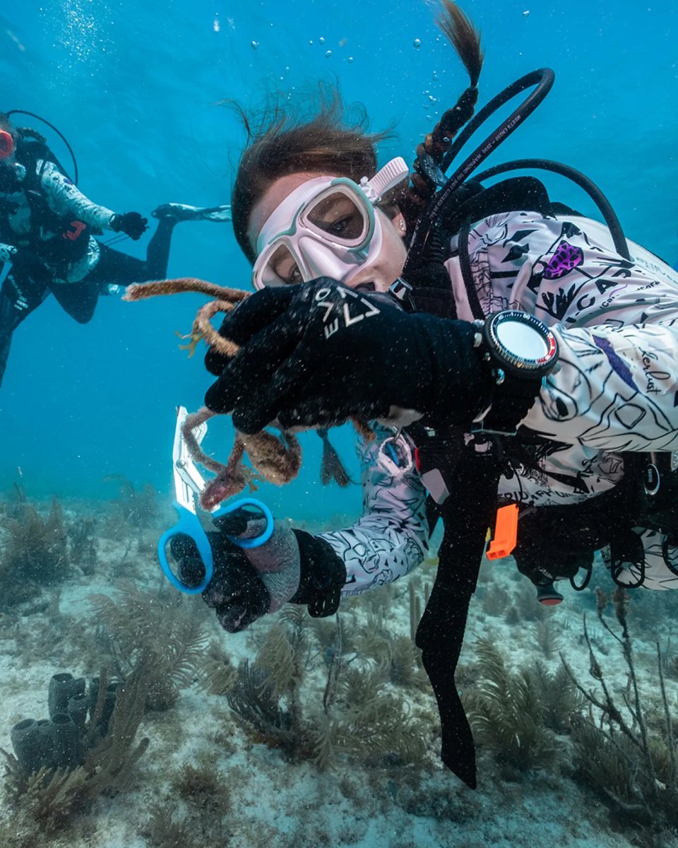 scubadivingmag's tweet image. Big dive knives look cool, but are they actually useful? 🤔

This article breaks down the best cutting tools for reefs, wrecks, and kelp, plus where to wear them so they actually help.

Read more here 👉 scubadiving.com/how-choose-div…