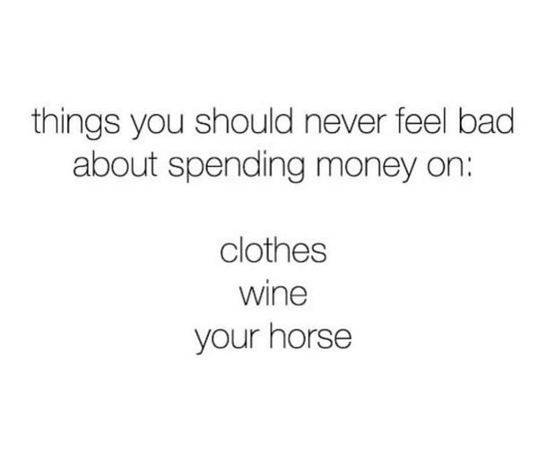 ChickSaddlery (@chicksaddlery) on Twitter photo 