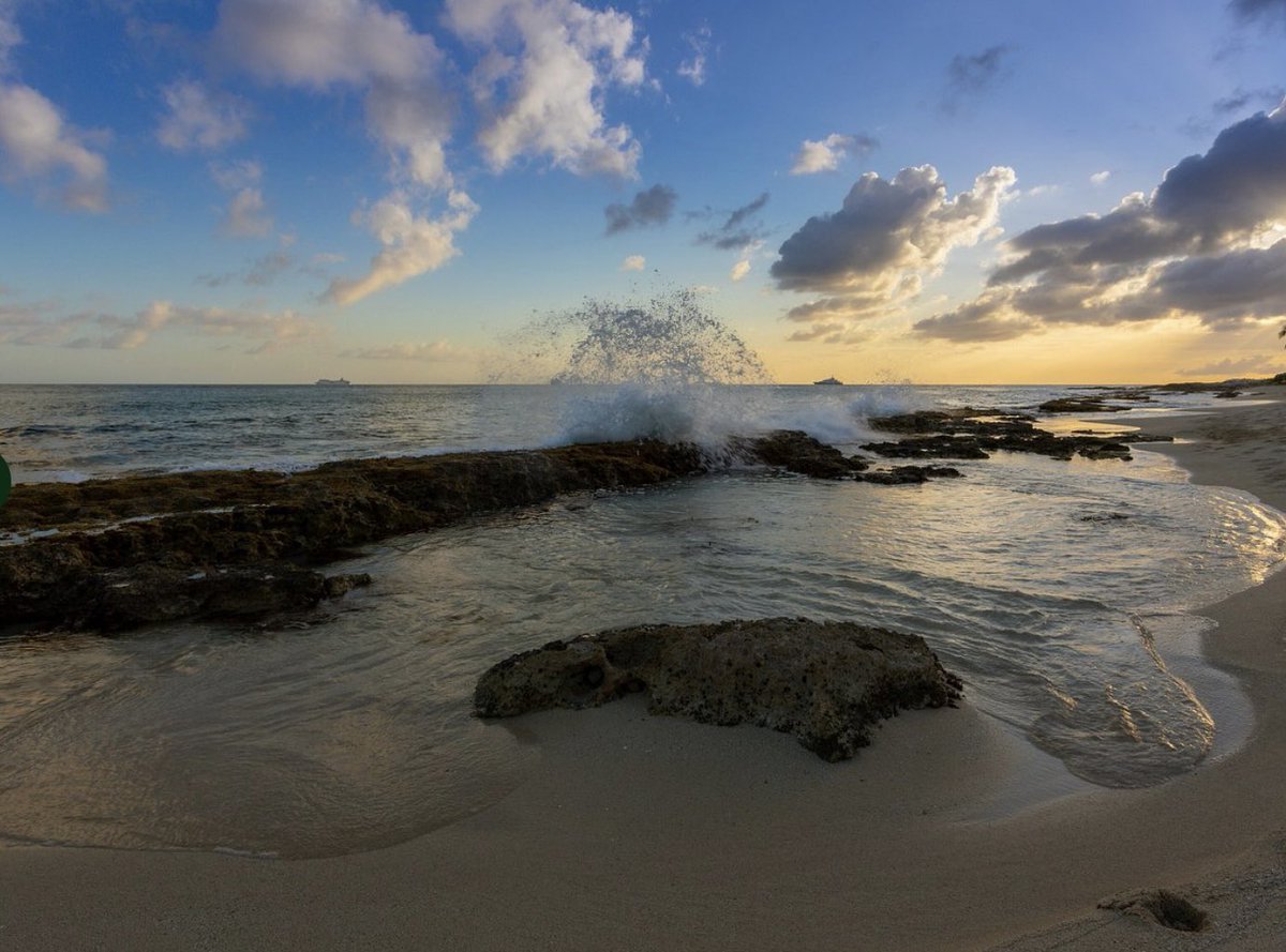 🇨🇦 Craig Searle ⚓️ tweet media