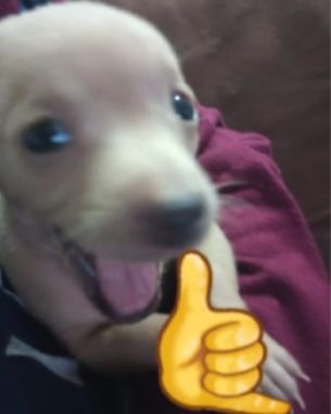 GabysStudy's tweet image. postando coisa aq pq na minha rant o bagulho me segue