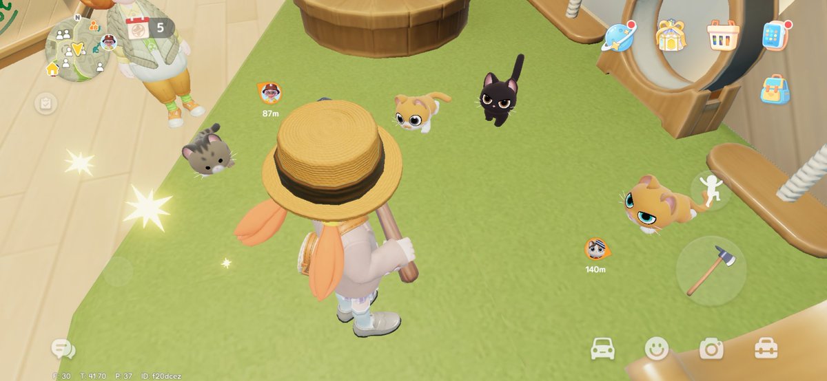 今日の猫！わ、黒猫が居る！クール系な性格？見た目やツンとしたような