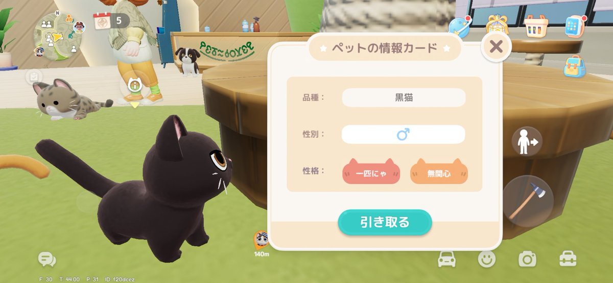 今日の猫！わ、黒猫が居る！クール系な性格？見た目やツンとしたような