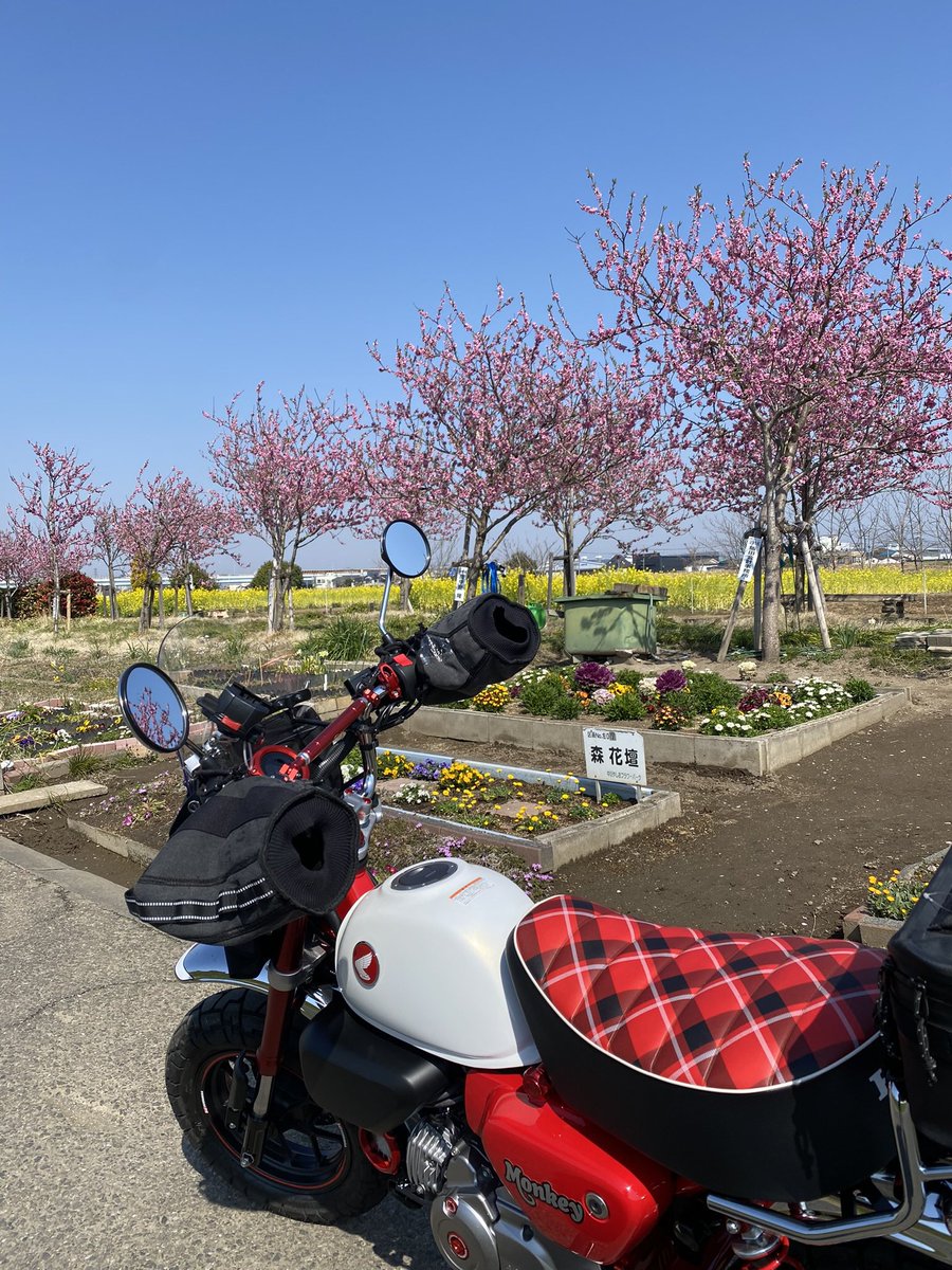 ももかっぱ orionA_agarage @orionace_boss モンキーからz900RSにも愛用してました