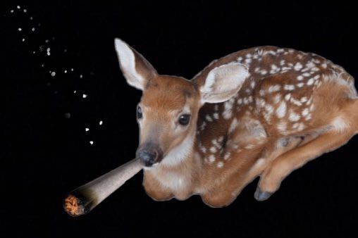 camppaya's tweet image. Max Caulfield after the storm