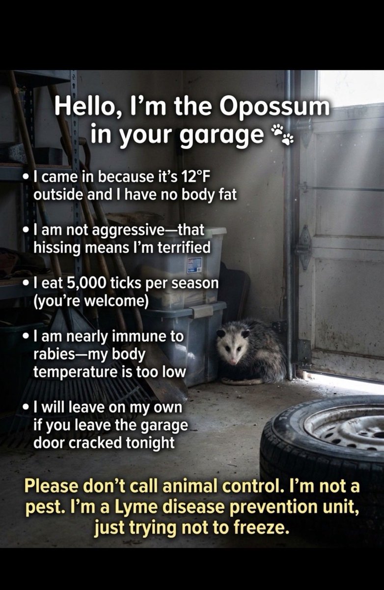 Not aggressive?
My chickens are currently unavailable for comment. 
 
Leave on your own?
I’m skeptical. 

But don’t worry…..I won’t call animal control….