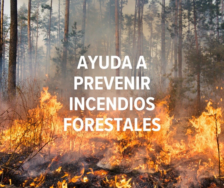 Conservación Internacional México tweet media