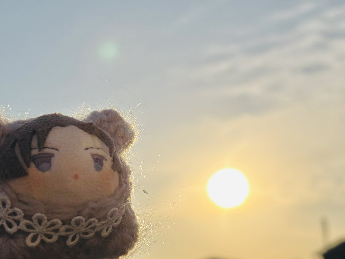 Post by おもち️️️🌸 on X: ☀️！！