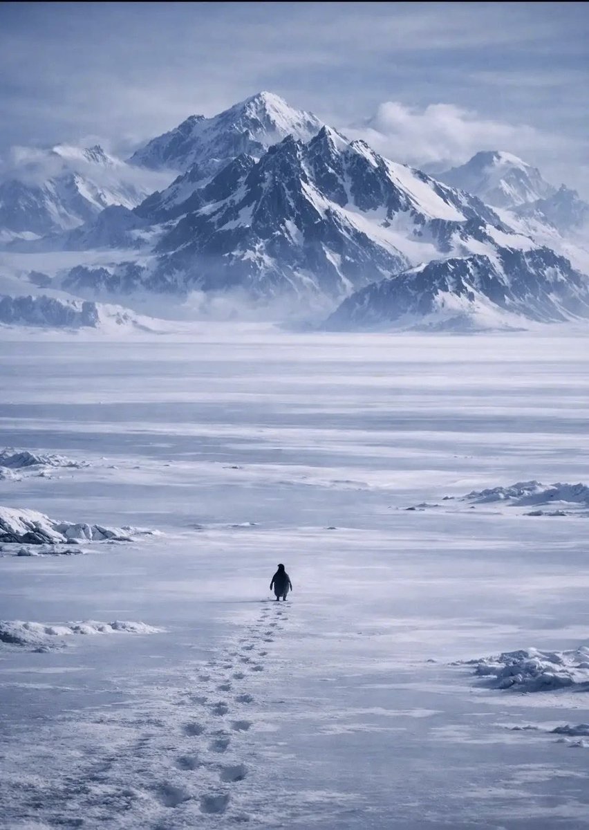 "yol o kadar yıprattı ki 
eve dönmenin heyecanı da kalmadı artık."