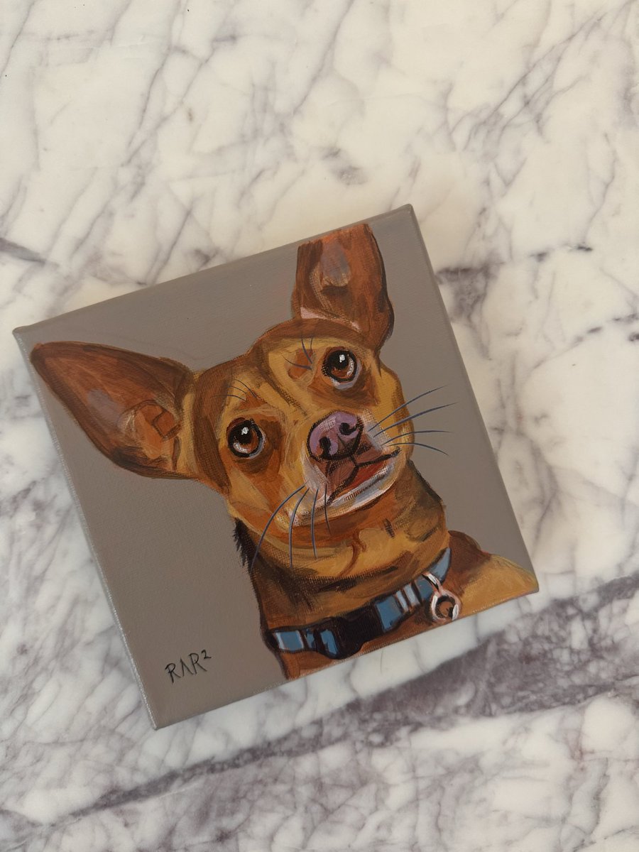ExtraAddy's tweet photo. Thank you @Chewy 😭😭😭😭😭😭 this means so much. It’s perfect 🥰 https://t.co/1eFnbZ4zIh