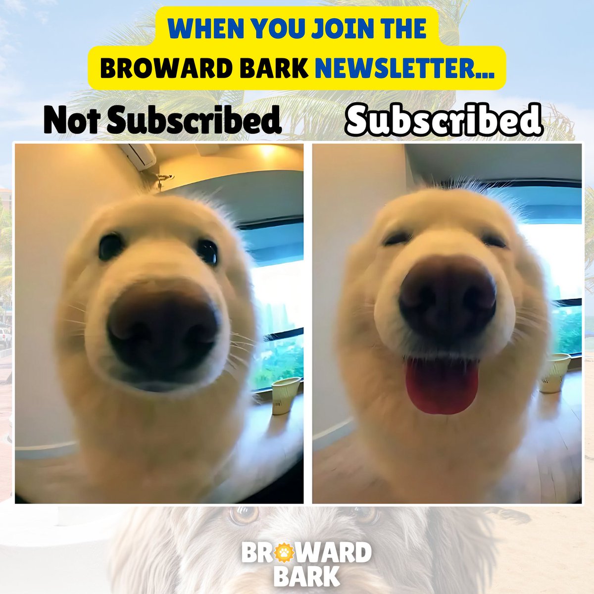 browardbark's tweet photo. This is what happens when you subscribe.
Loved ❤️ by thousands of Broward dog parents.

https://t.co/tT4tCOhHVs

#browardcounty #dogparents https://t.co/exnR3kdRBZ