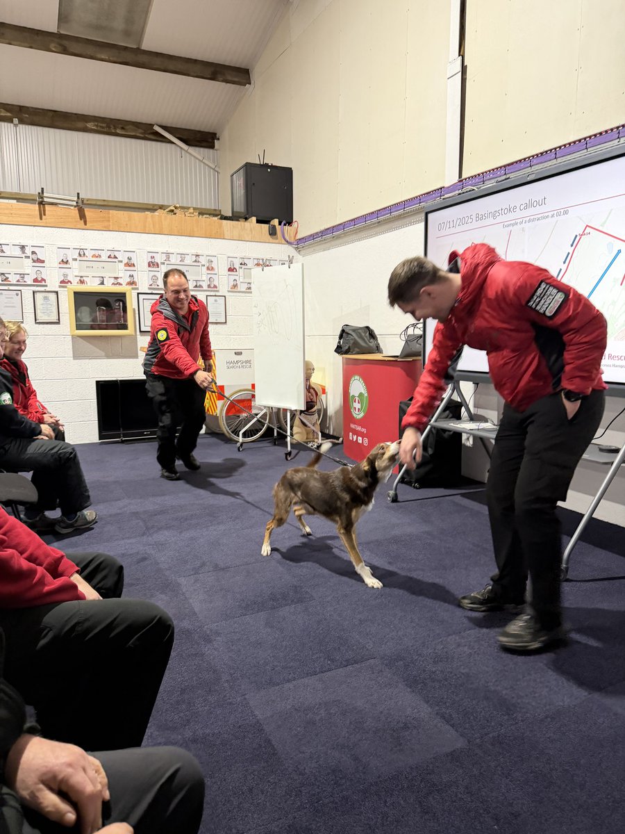 Hampshire Search and Rescue (HANTSAR) tweet media