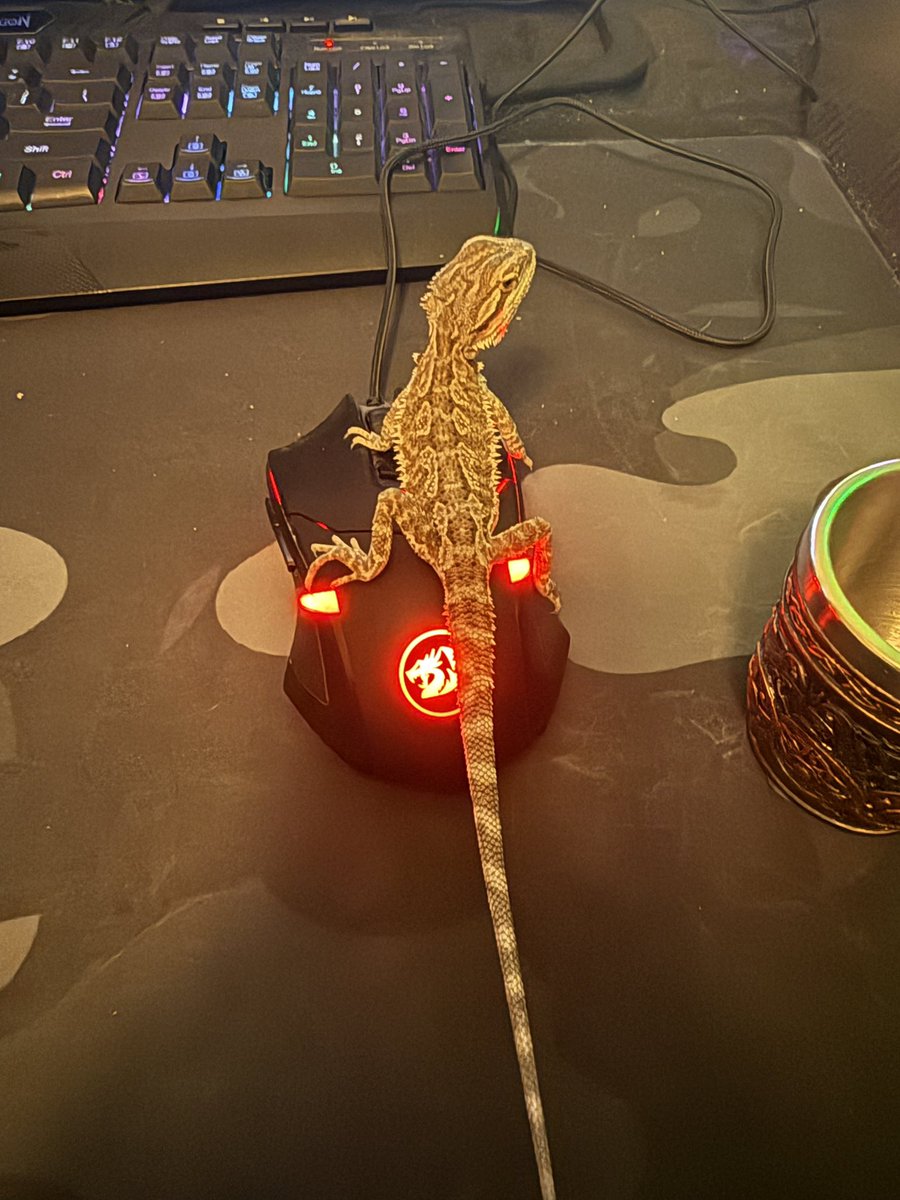 UNDEADKING tweet media