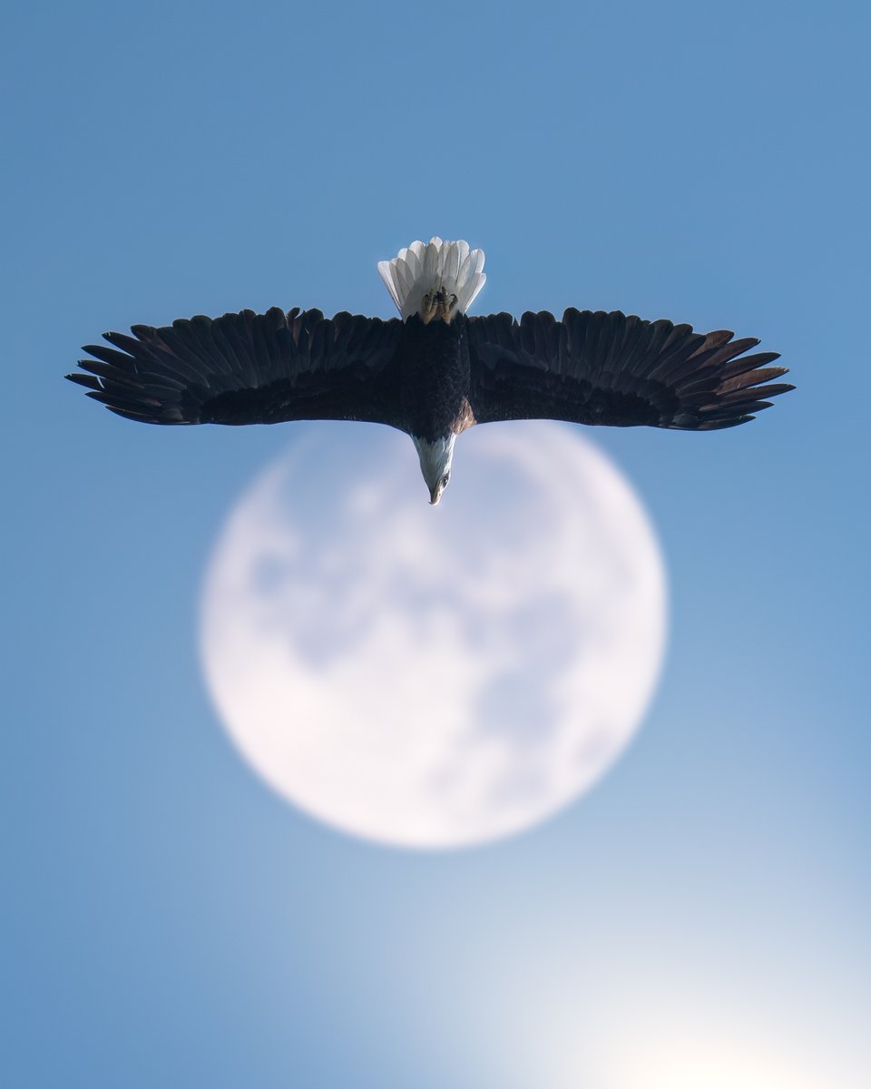 Adobe Lightroom tweet media