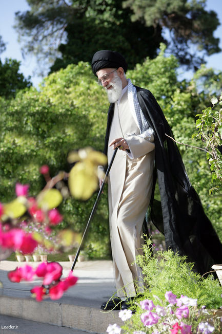 احسان عبادی / Ehsan Ebadi 🟩 ☫ 🟥 tweet media