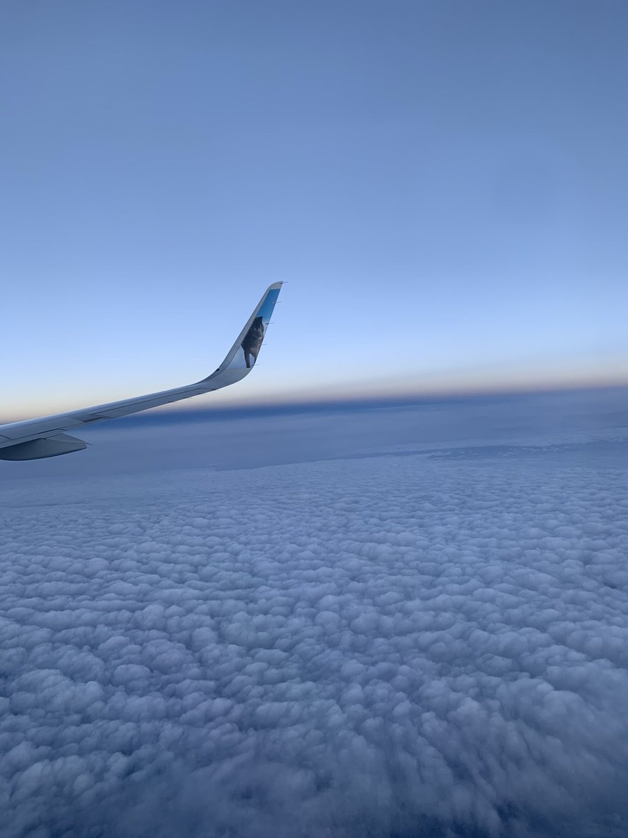 pushdraws's tweet image. Never fails