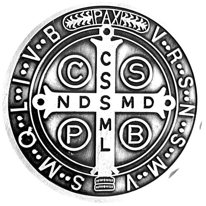 El Peregrinar en la FE Católica tweet media