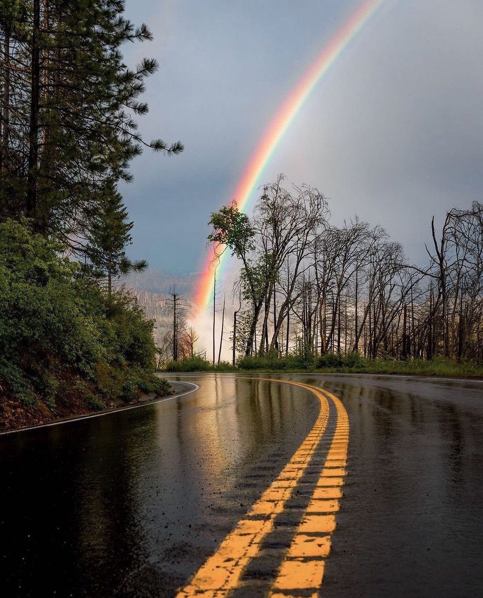 earthcurated's tweet photo. — after the rain 🌧️ 🌈 https://t.co/5faThiICs3