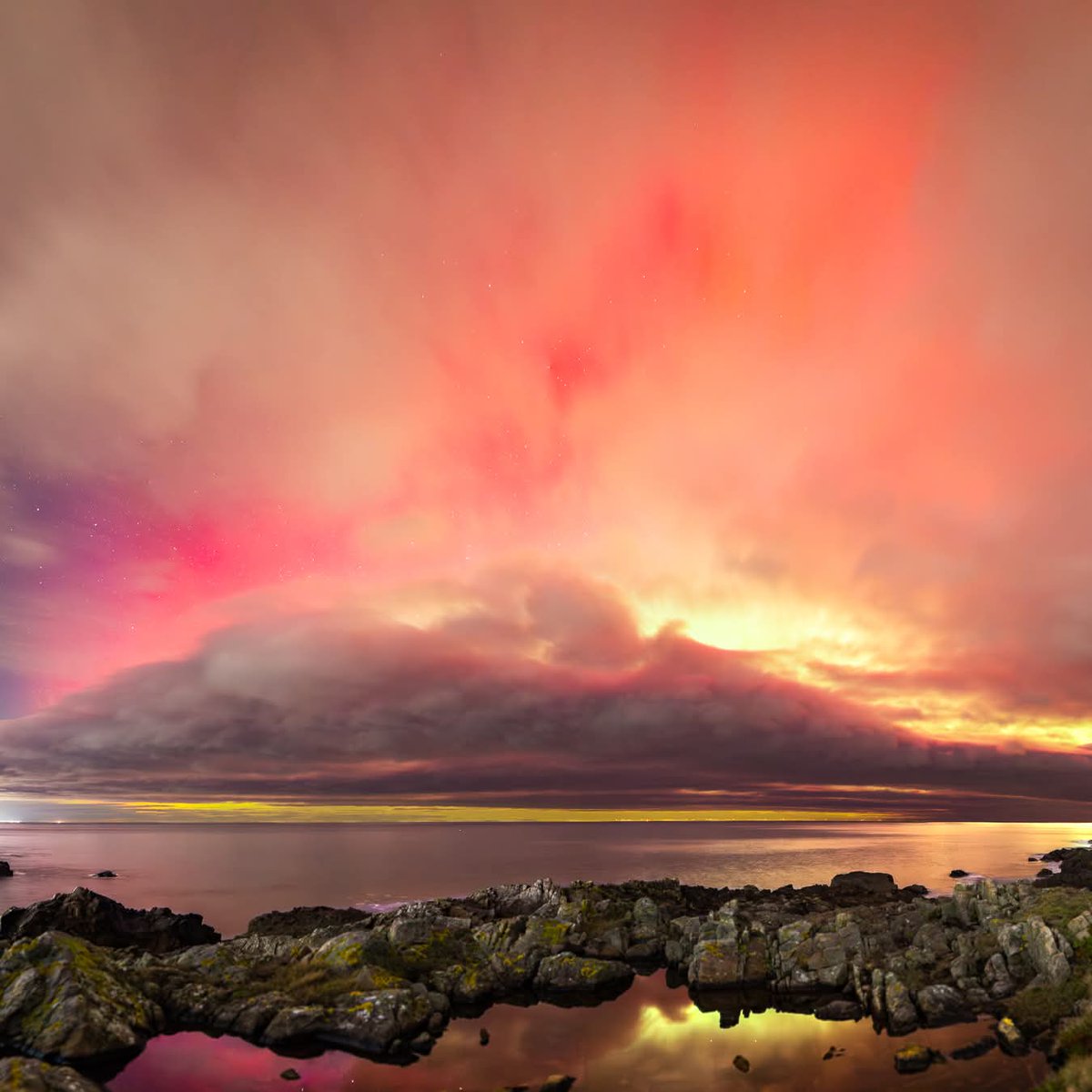 Duncan McDonald tweet media