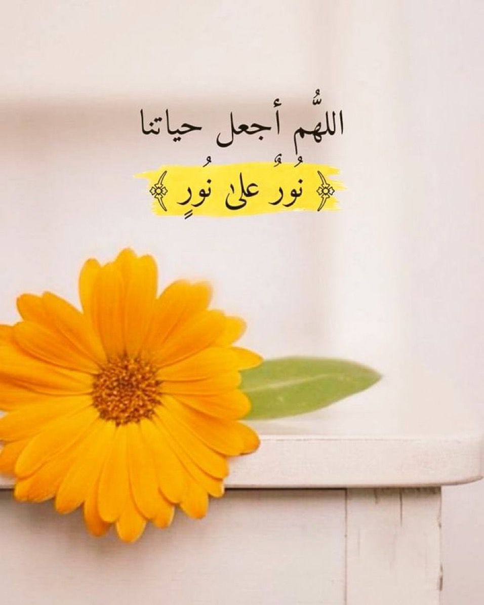 h_ecj's tweet image. اللهمّ اجعل حياتنا نوراً على نور ، ويسر لنا جميع الأمور ، اللهمّ ضاعف لنا الحسنات والأجور .. 
وجنبنا المصائب والشرور ، وأنعم علينا برضاك ومحبتك ياغفور ..

▫️▫️