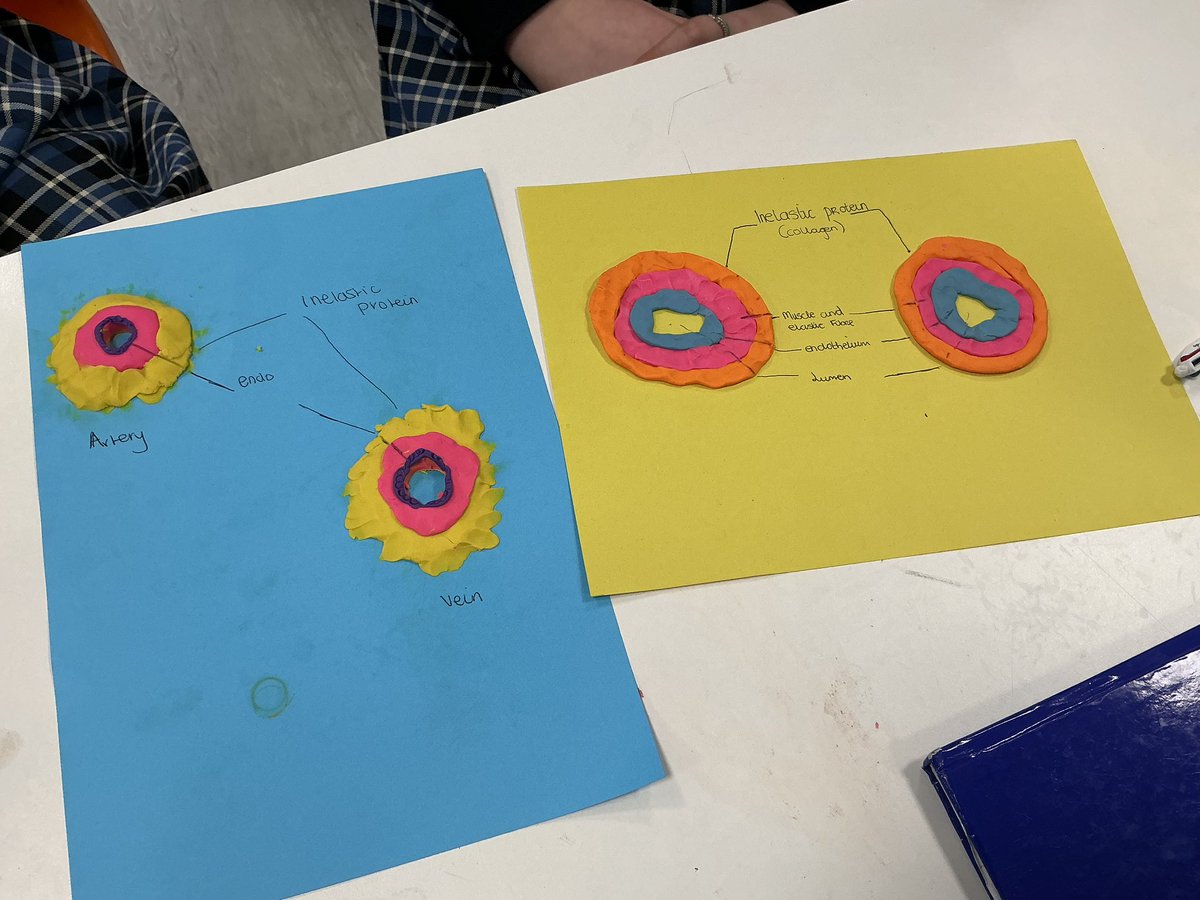 Swords Community College tweet media