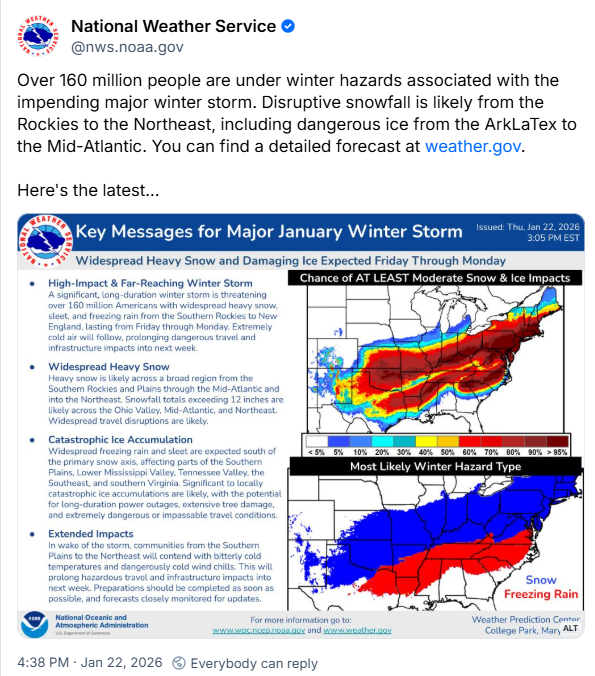 Kim MacDonald 🌻 tweet media