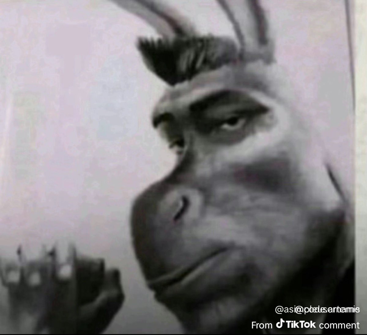 itssmacc tweet media