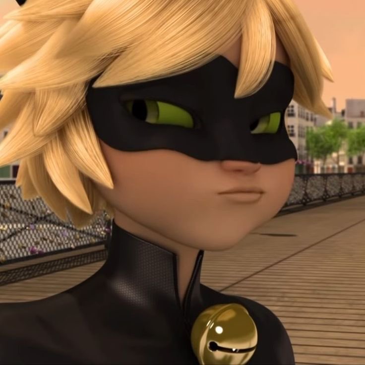 daily chat noir tweet media